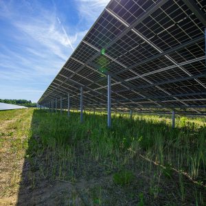 Module eines Solarparks in Franken von unten bei blauem Himmel und Sonnenschein