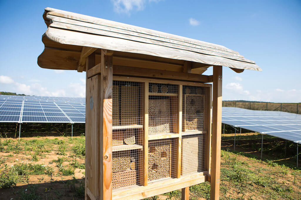 An insect hotel standing in front of a solar farm