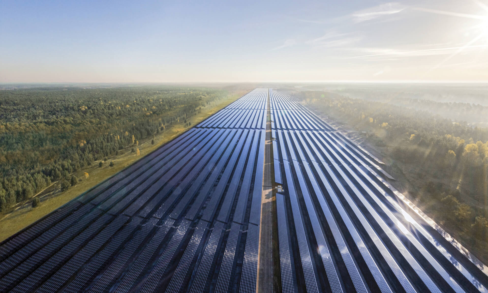 solar power plant with a forest next to it seen from above