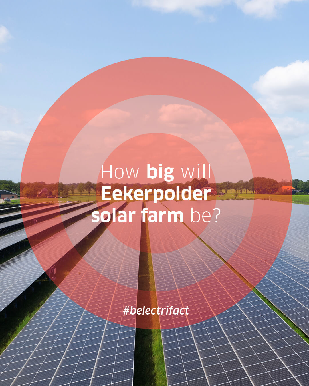 2025_kw17_belectric_belectrifact_en.jpg