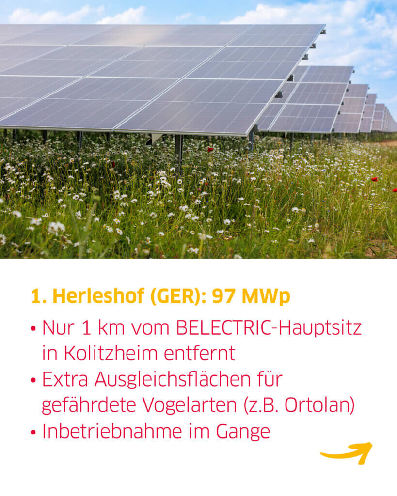 Eine Blumenwiese vor dem Solarpark Herleshof, darunter sind Fakten über das Projekt gelistet.