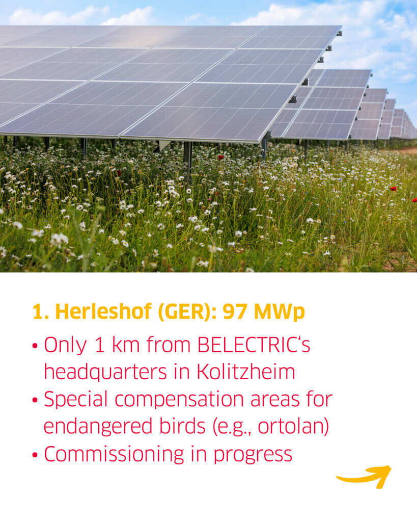 Flowers in front of Herleshof solar farm and a list of facts about the project