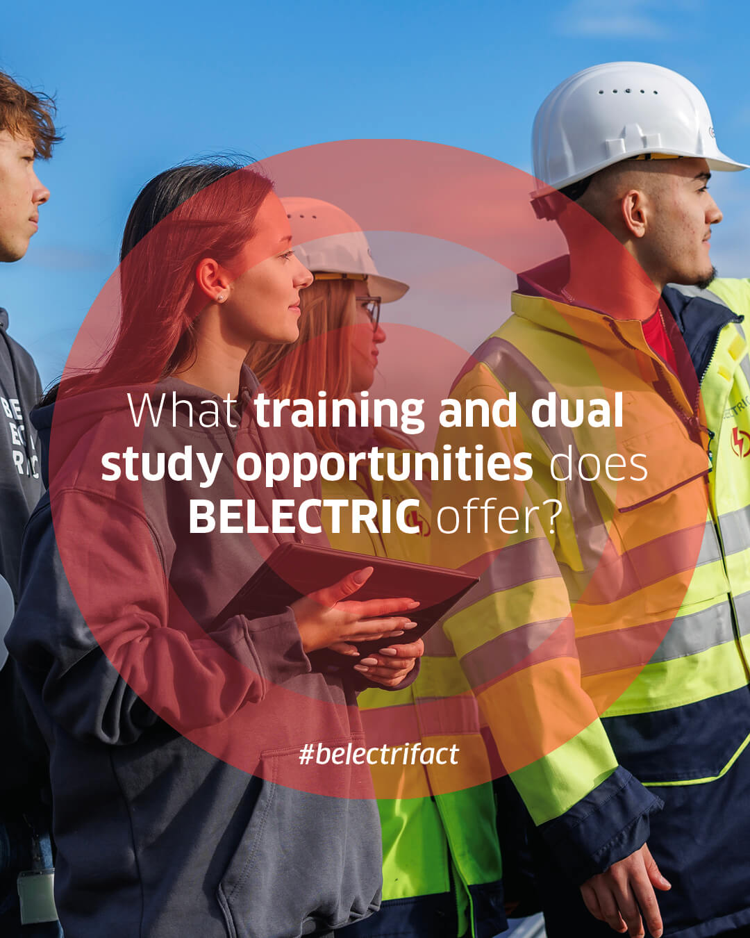 2025_kw34_belectric_belectrifact_en.jpg