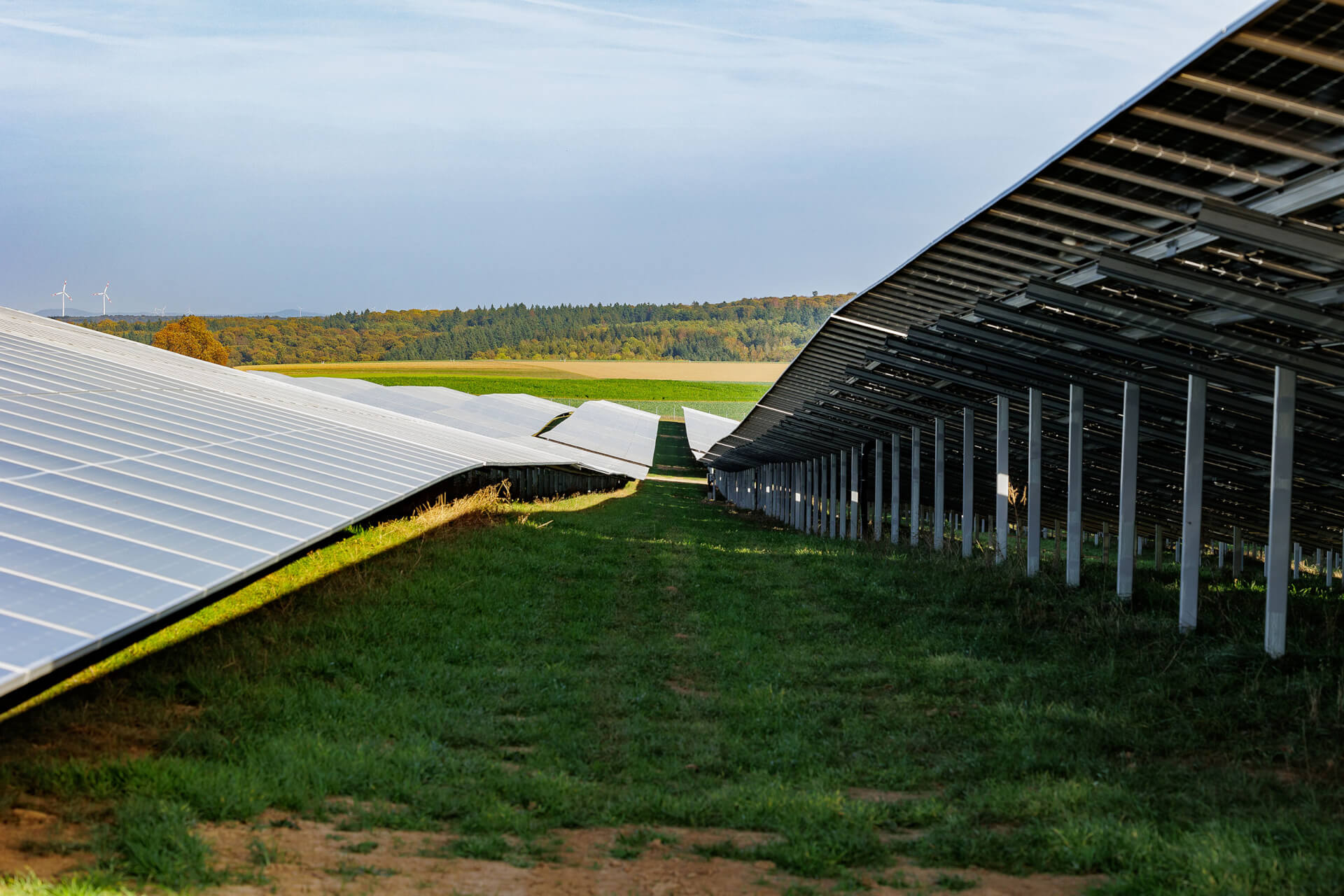 A BELECTRIC solar farm shown from the ground