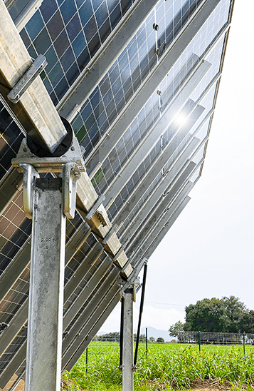 Solar tracker installation above cultivated farmland in an agrivoltaic project.